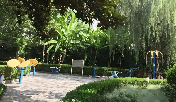 凤盗
