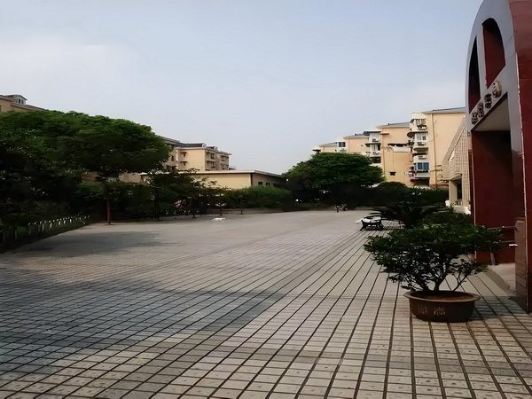 绝色宫主俏千金